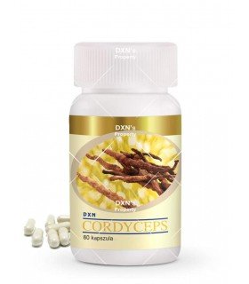 Cordyceps Sinensis en 60 cápsulas DXN España  en oferta