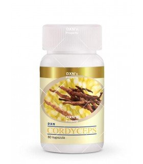 Cordyceps Sinensis en 60 cápsulas DXN España  en oferta