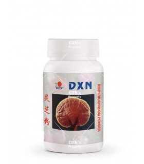 Mezcla de hongo Reishi RG y Mycelium GL en polvo 22g DXN España  en oferta