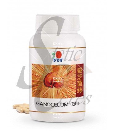 GL 90 - Ganoderma Mycelium en 90 cápsulas DXN España  en oferta